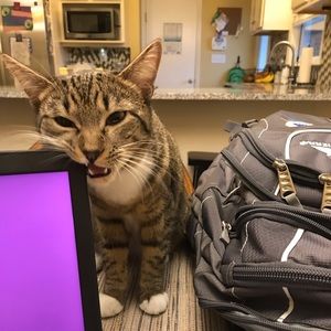 Meet your Posher, Ashly